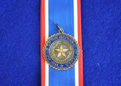 Member Large Medal